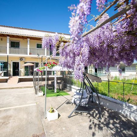 Ionian Luxury Apartments ペラマ エクステリア 写真