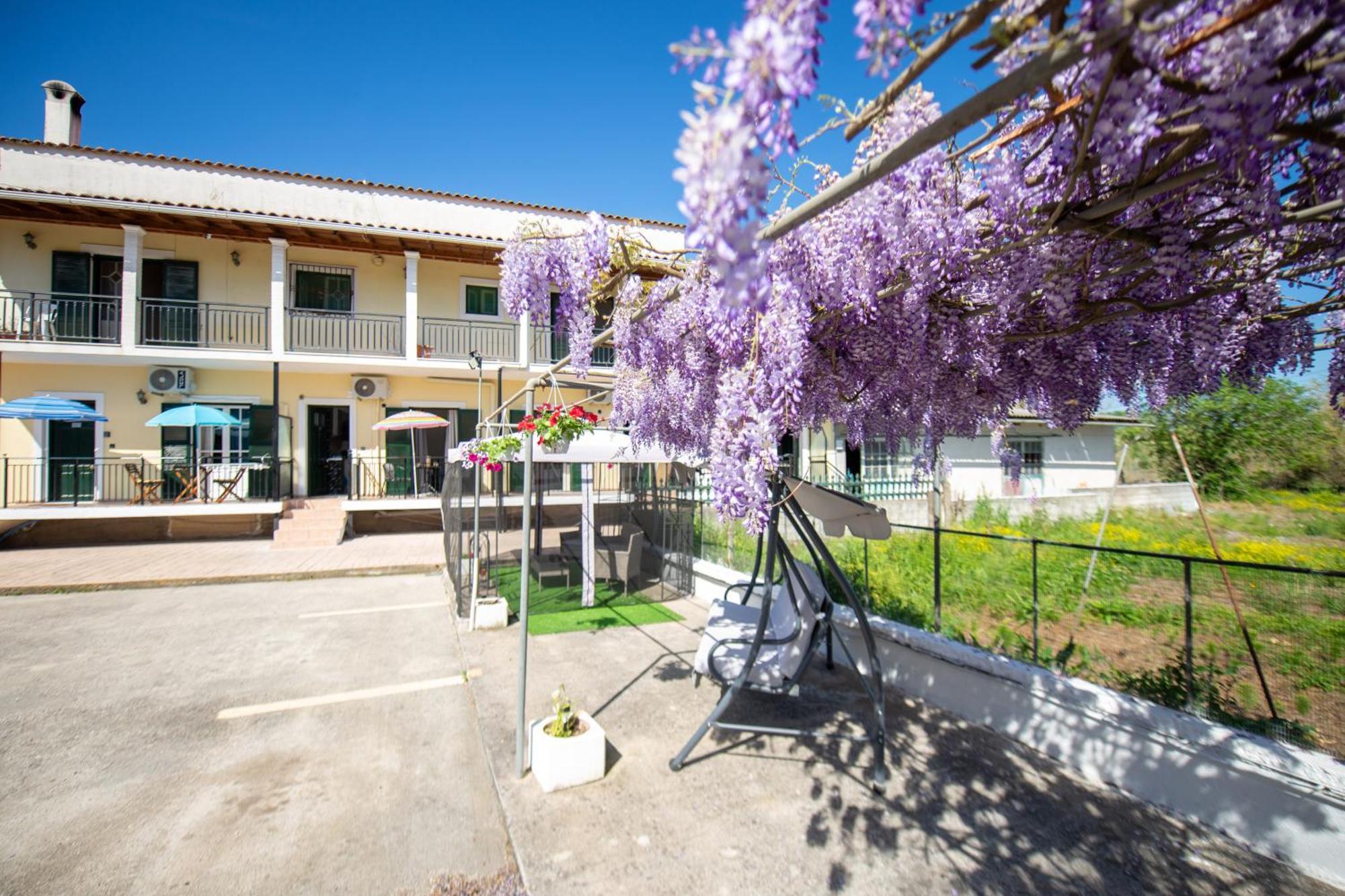 Ionian Luxury Apartments ペラマ エクステリア 写真